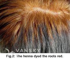 241119140149_Hair-Dying with henna-s.jpg